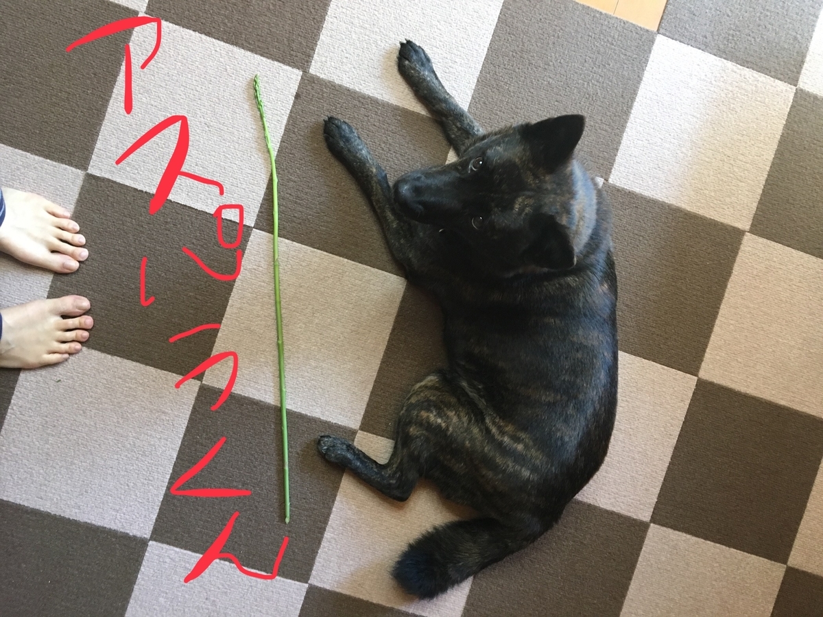 f:id:drunkard_kim:20190416111432j:plain