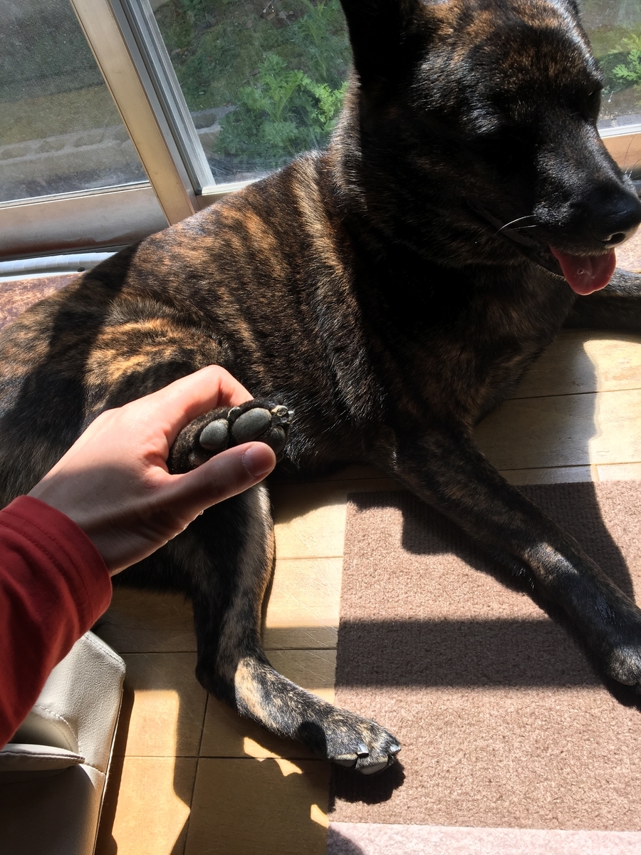 f:id:drunkard_kim:20190417075933j:plain