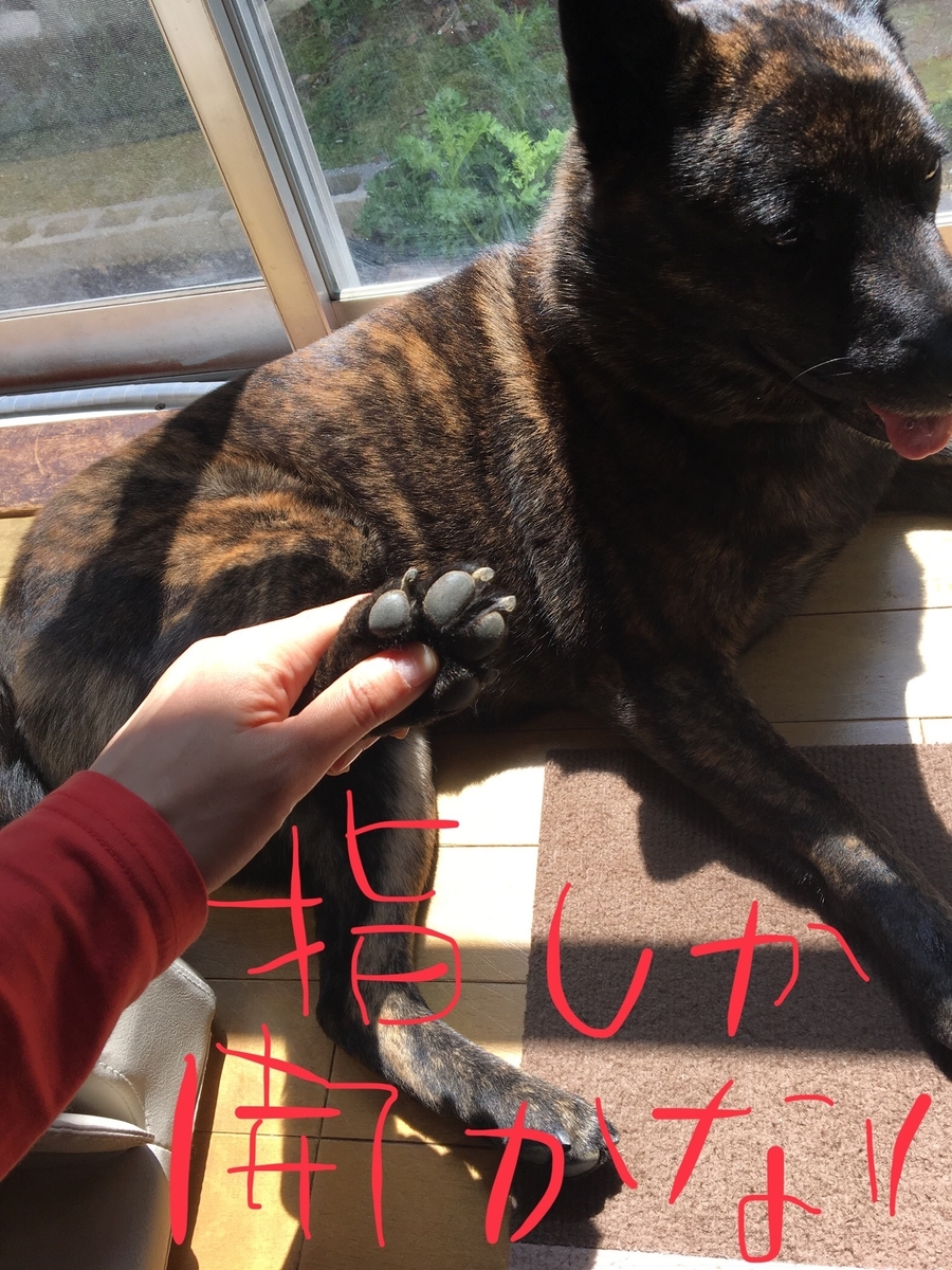 f:id:drunkard_kim:20190417080005j:plain