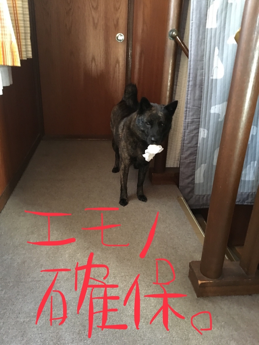 f:id:drunkard_kim:20190418080622j:plain