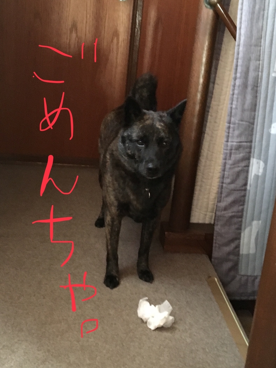f:id:drunkard_kim:20190418080854j:plain