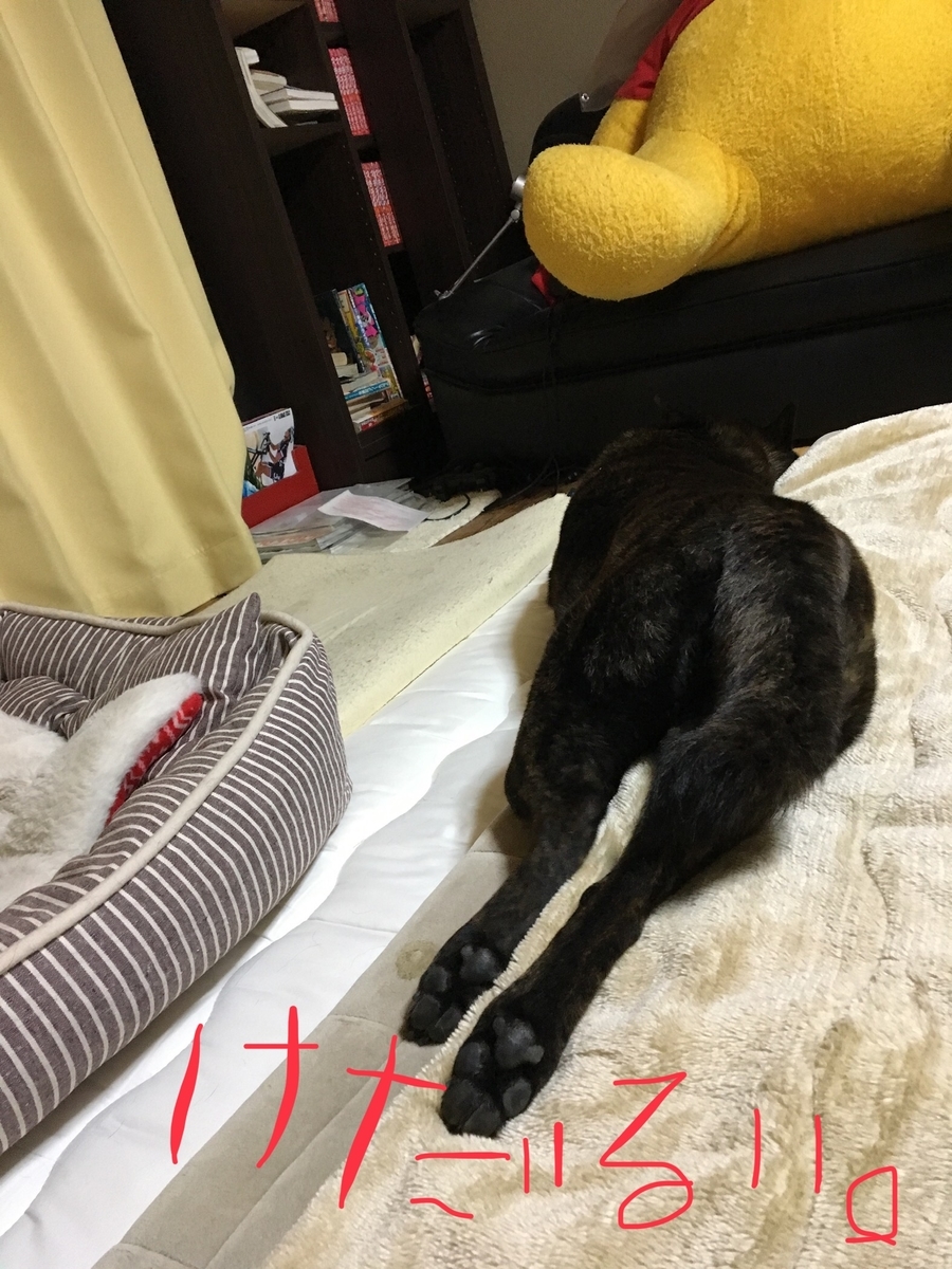 f:id:drunkard_kim:20190419080344j:plain
