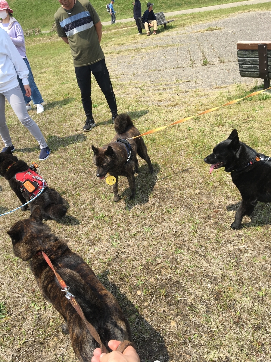 f:id:drunkard_kim:20190421220105j:plain