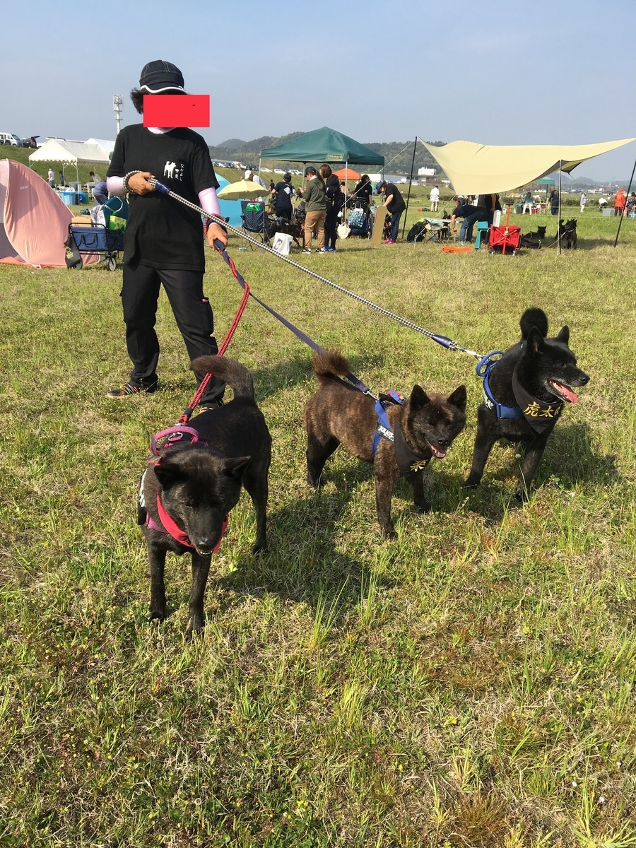 f:id:drunkard_kim:20190421221309j:plain