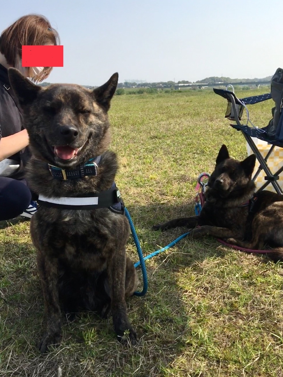 f:id:drunkard_kim:20190421225359j:plain