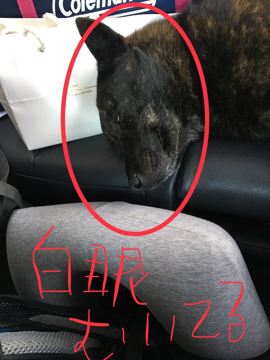 f:id:drunkard_kim:20190421230300j:plain