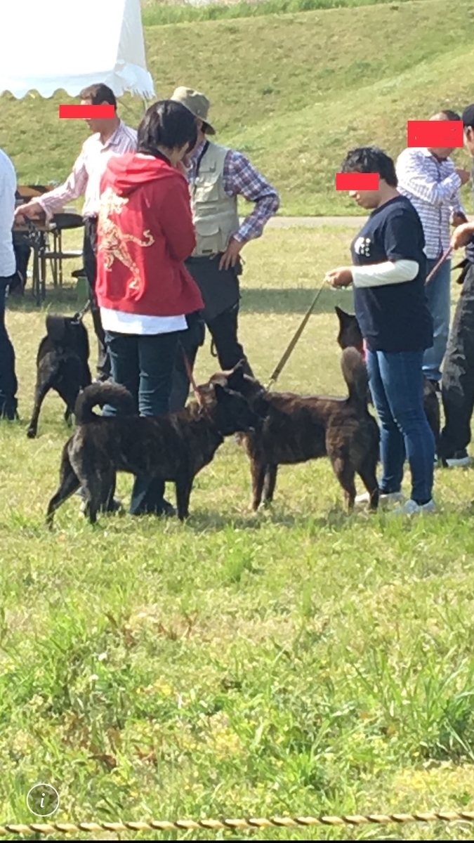f:id:drunkard_kim:20190422080815j:plain