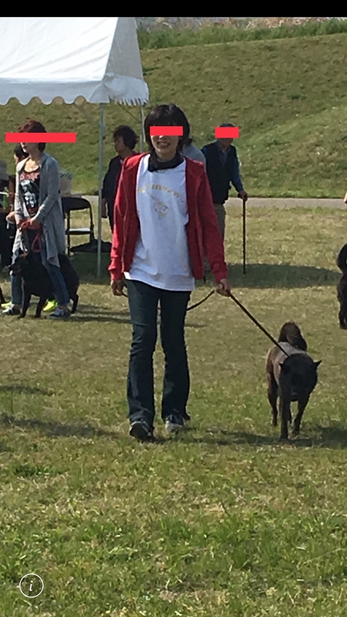 f:id:drunkard_kim:20190422080853j:plain