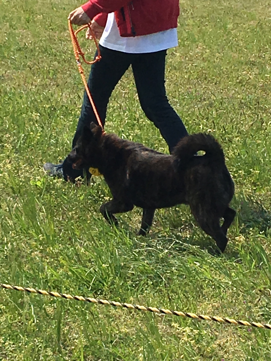 f:id:drunkard_kim:20190422080930j:plain