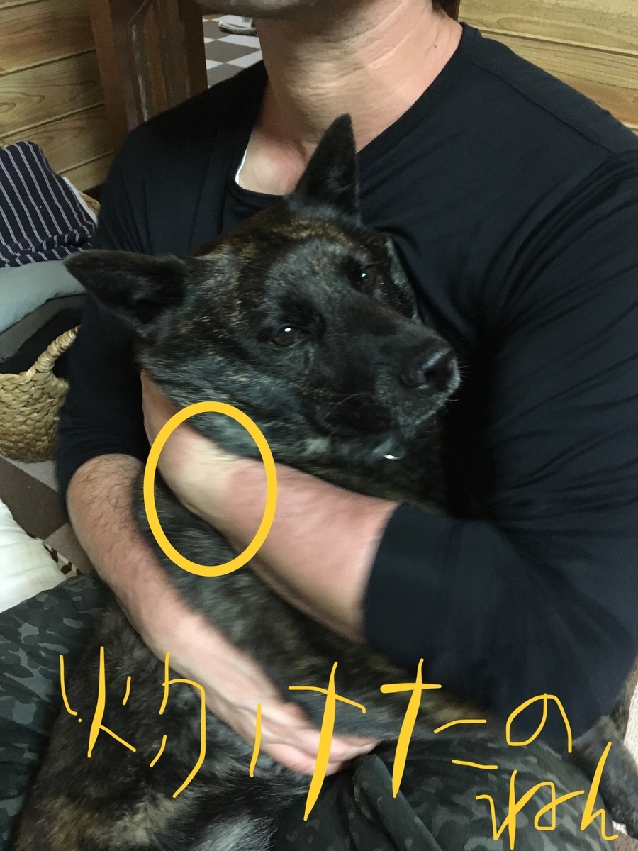 f:id:drunkard_kim:20190422081533j:plain
