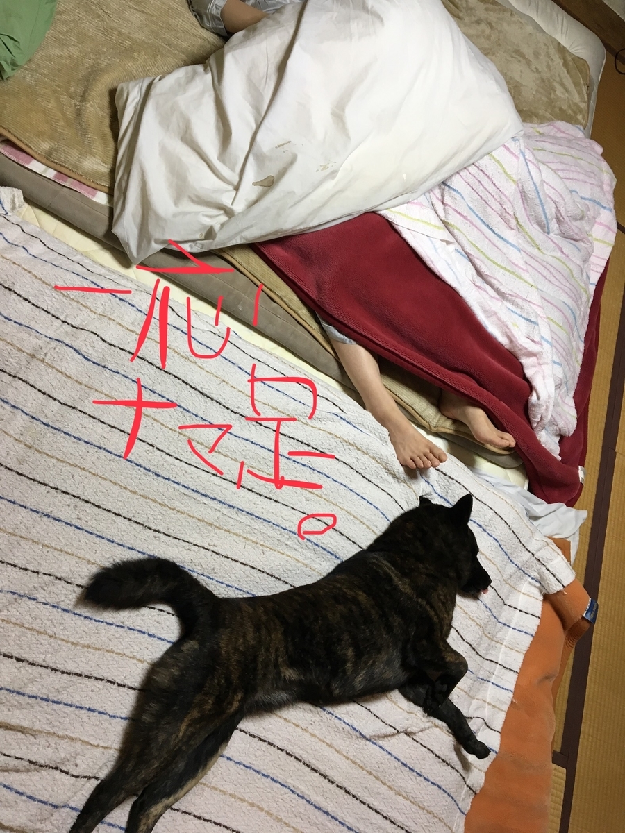 f:id:drunkard_kim:20190424080929j:plain