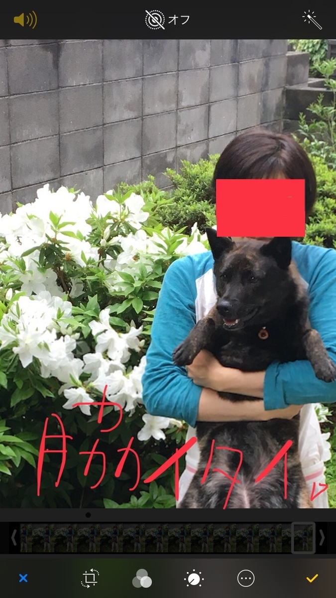 f:id:drunkard_kim:20190425080712j:plain