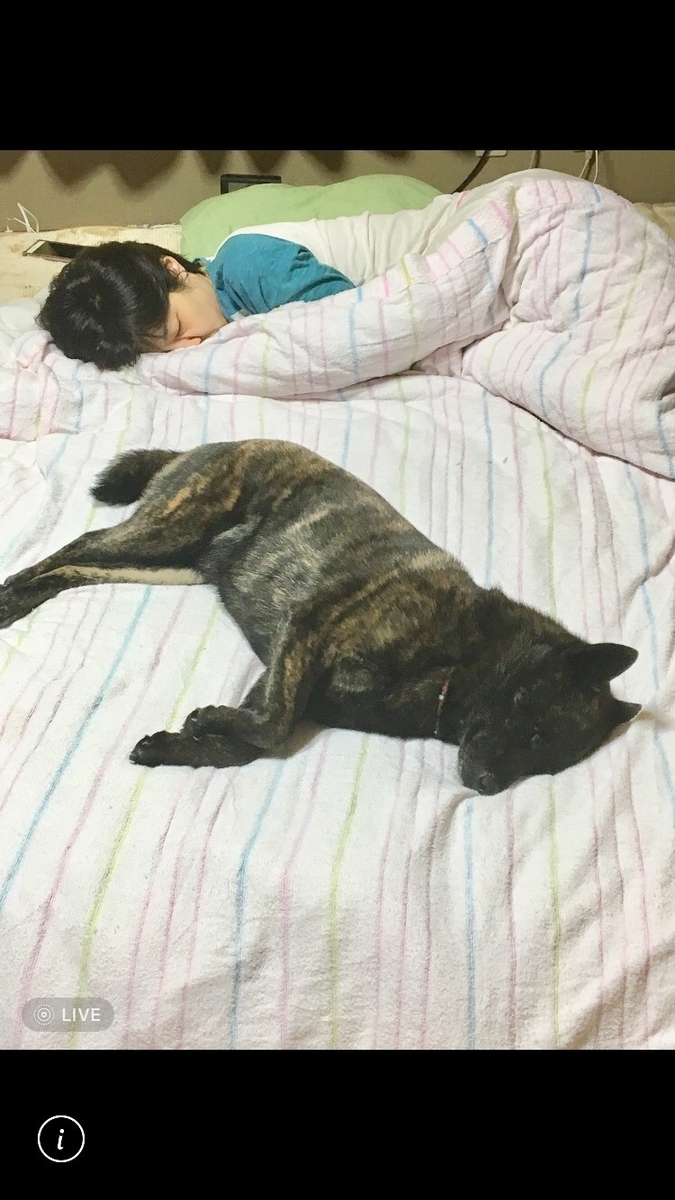f:id:drunkard_kim:20190426081238j:plain