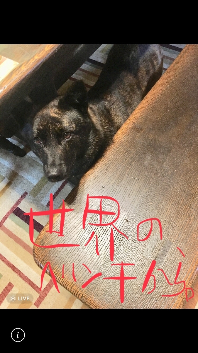 f:id:drunkard_kim:20190427084953j:plain