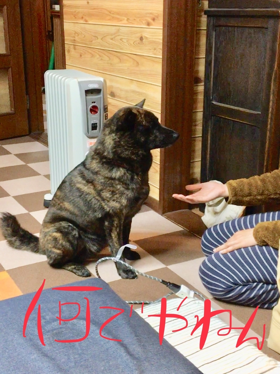 f:id:drunkard_kim:20190502123557j:plain