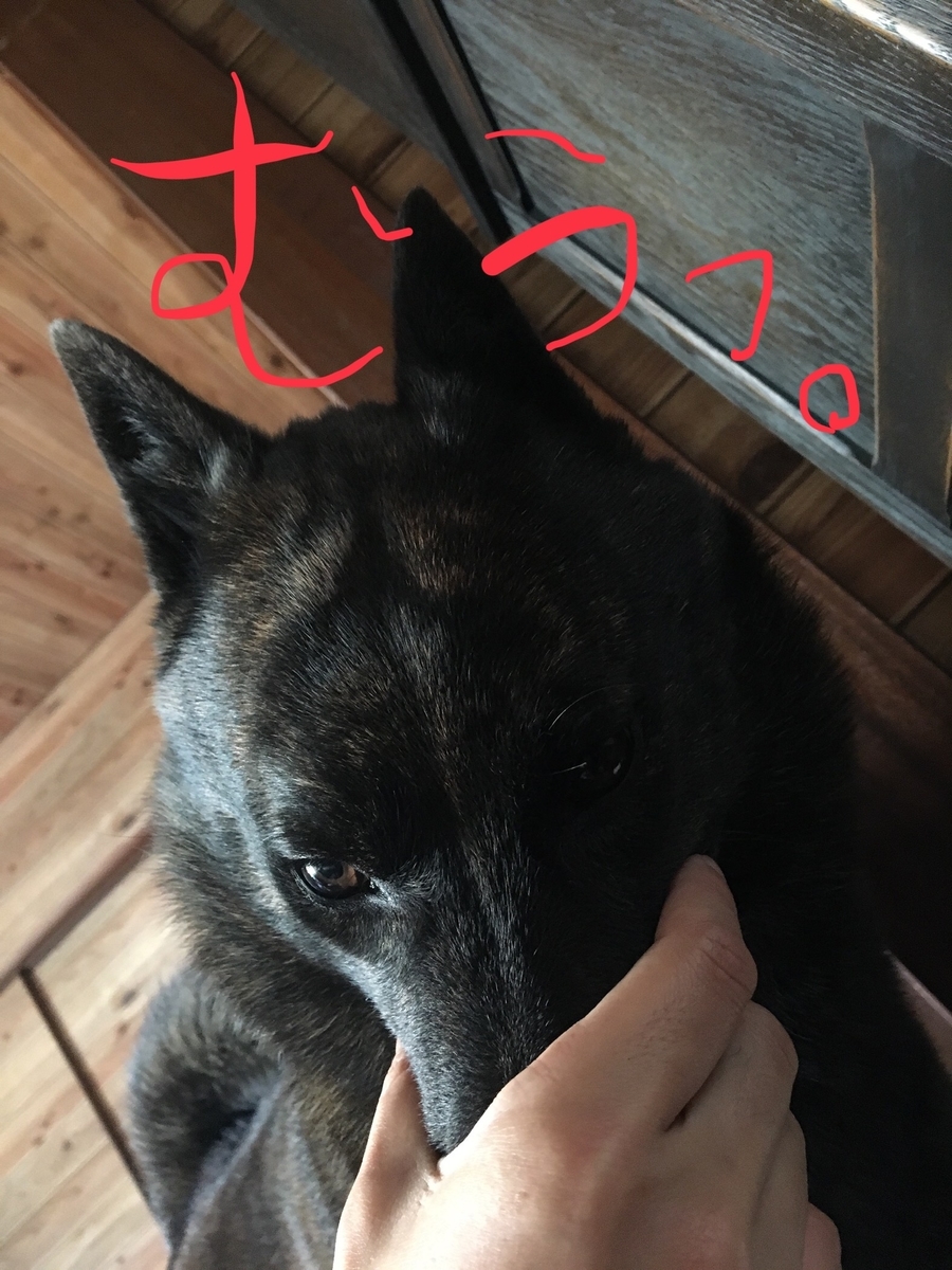 f:id:drunkard_kim:20190506081800j:plain