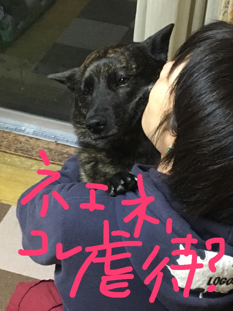 f:id:drunkard_kim:20190509080412j:plain f:id:drunkard_kim:20190509080412j:plain