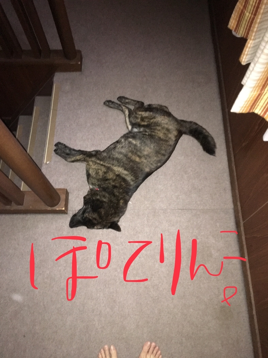 f:id:drunkard_kim:20190511085844j:plain