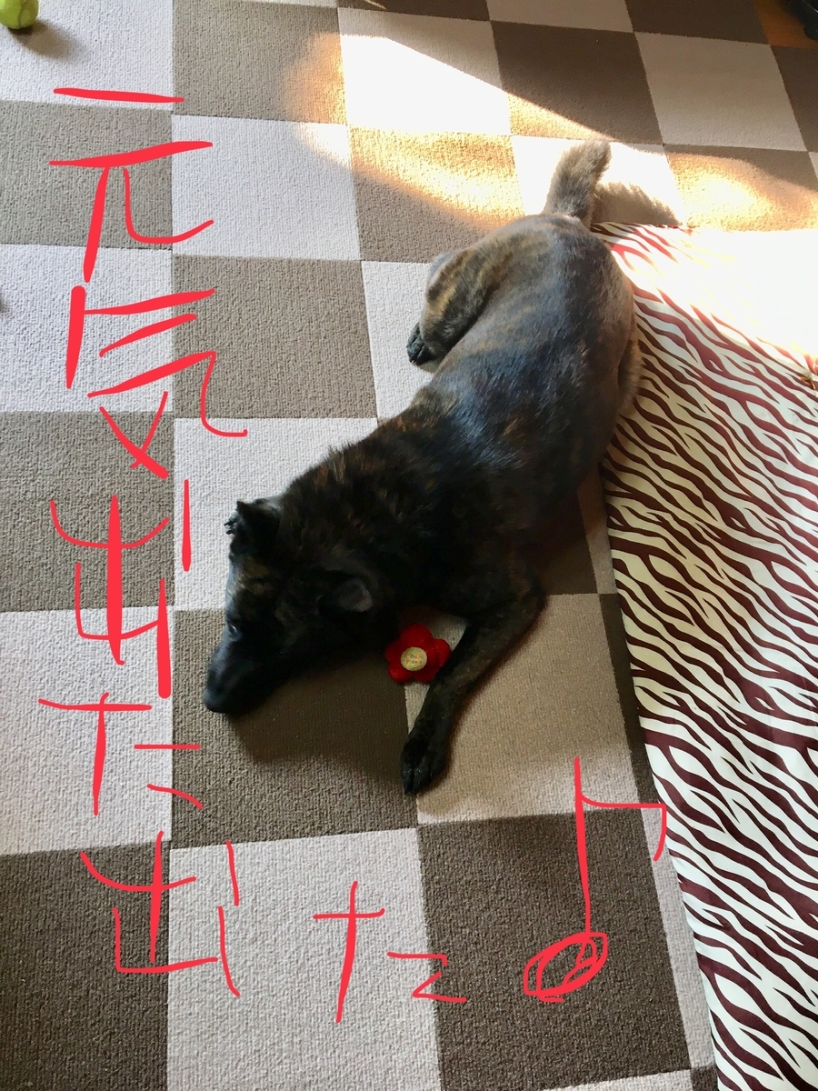 f:id:drunkard_kim:20190513073228j:plain