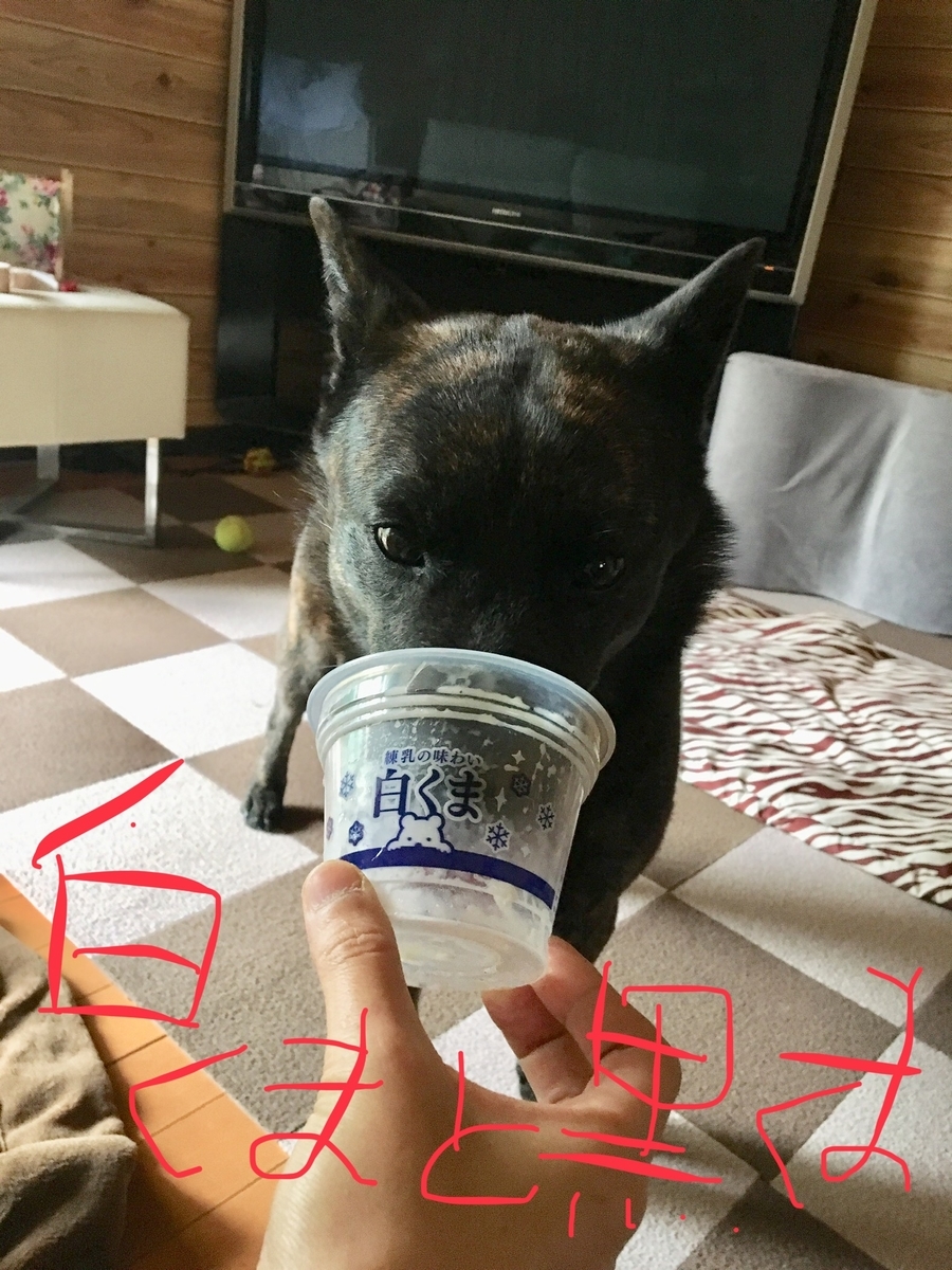 f:id:drunkard_kim:20190514155152j:plain