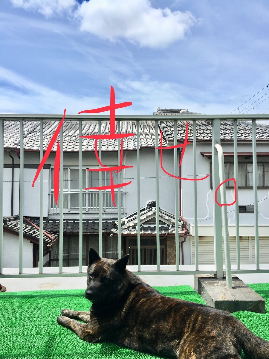 f:id:drunkard_kim:20190519112530j:plain