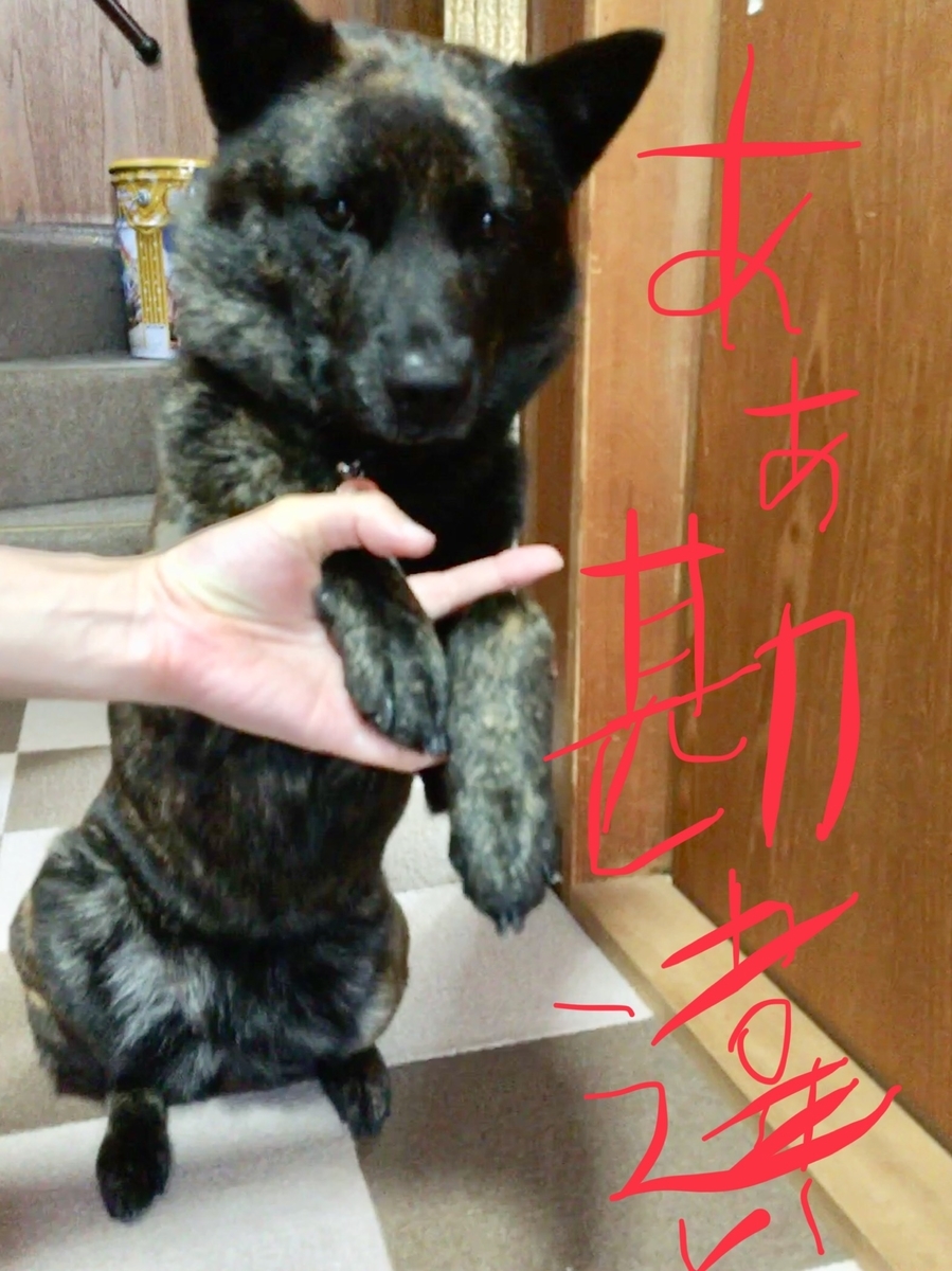 f:id:drunkard_kim:20190520080512j:plain