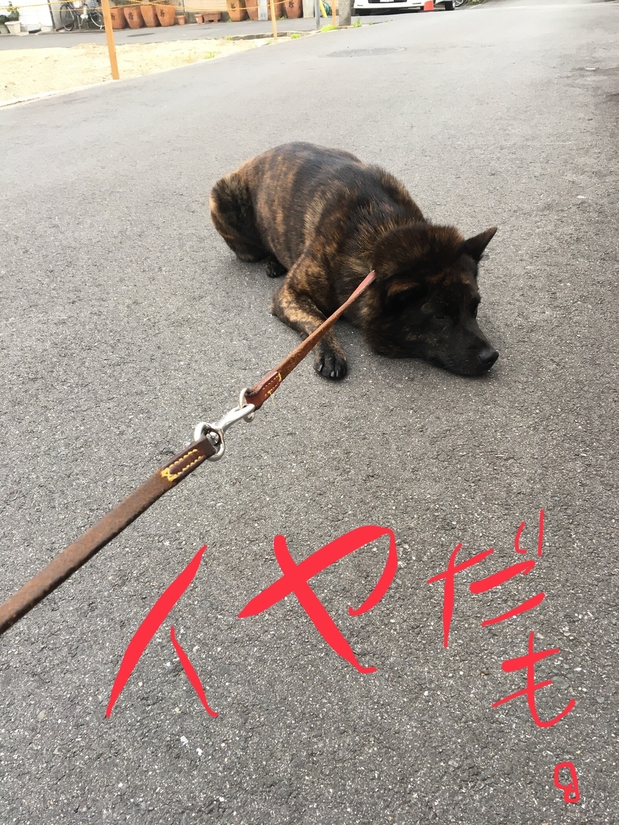 f:id:drunkard_kim:20190522164320j:plain