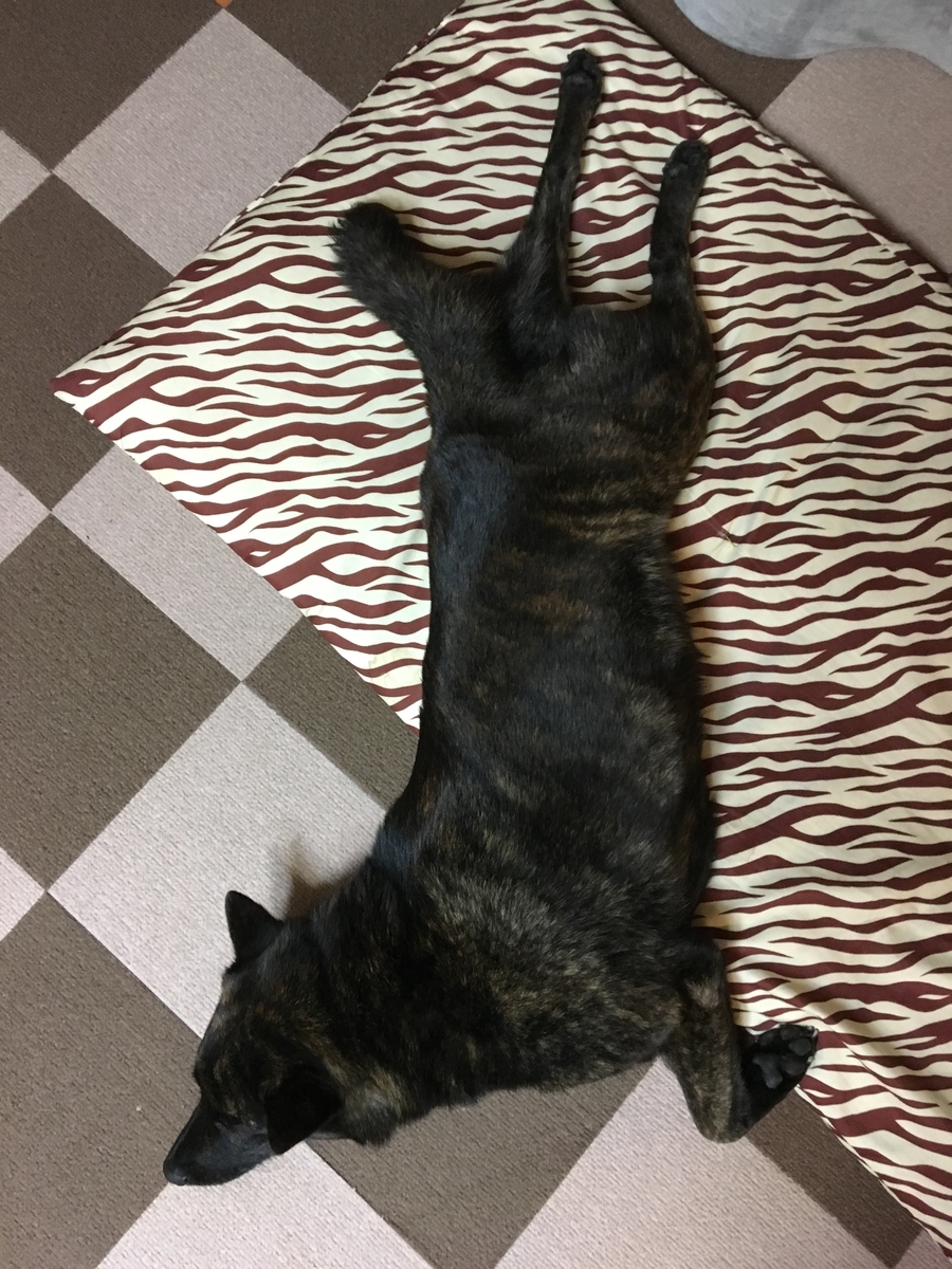 f:id:drunkard_kim:20190524075708j:plain