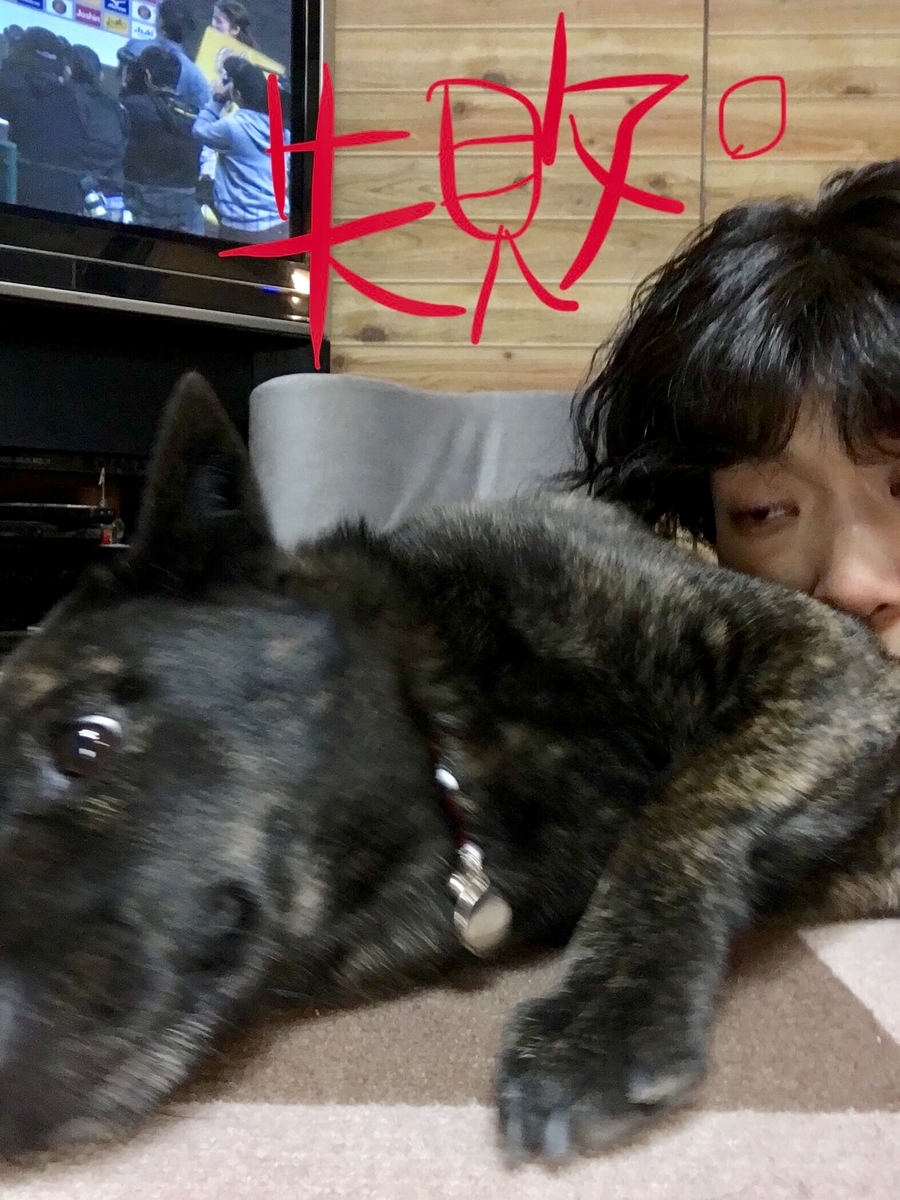 f:id:drunkard_kim:20190525075951j:plain