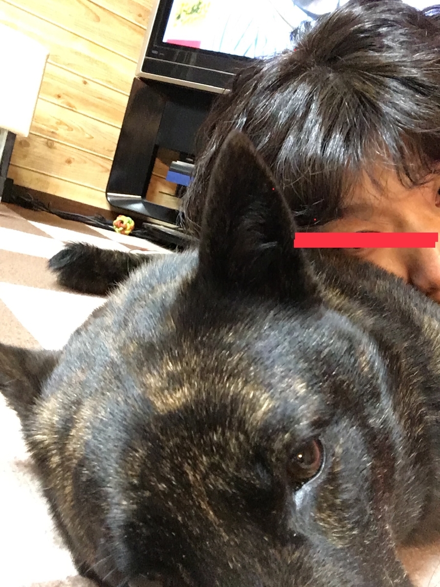 f:id:drunkard_kim:20190525080101j:plain