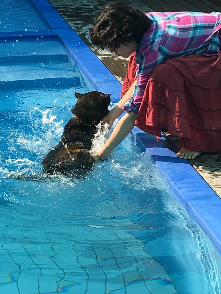 f:id:drunkard_kim:20190527140031j:plain