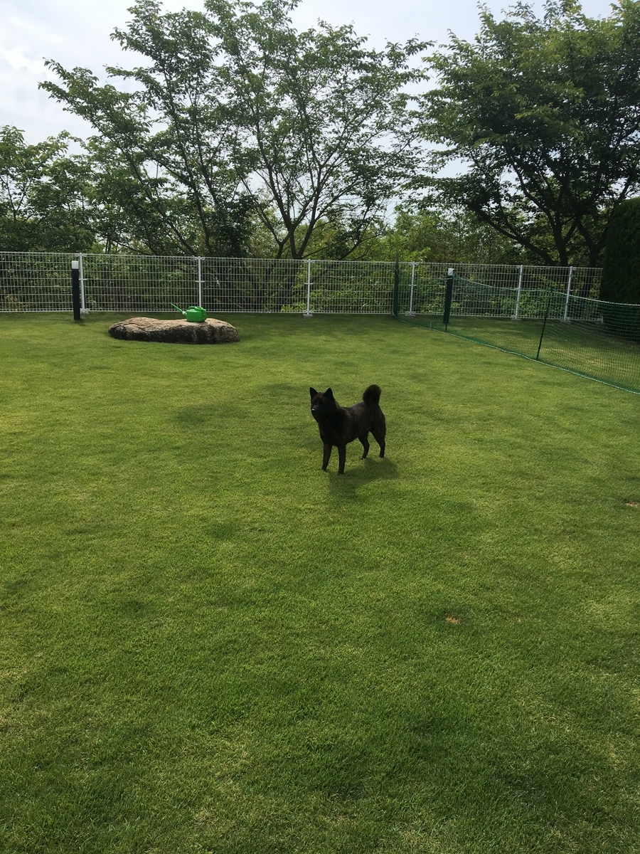 f:id:drunkard_kim:20190527223351j:plain