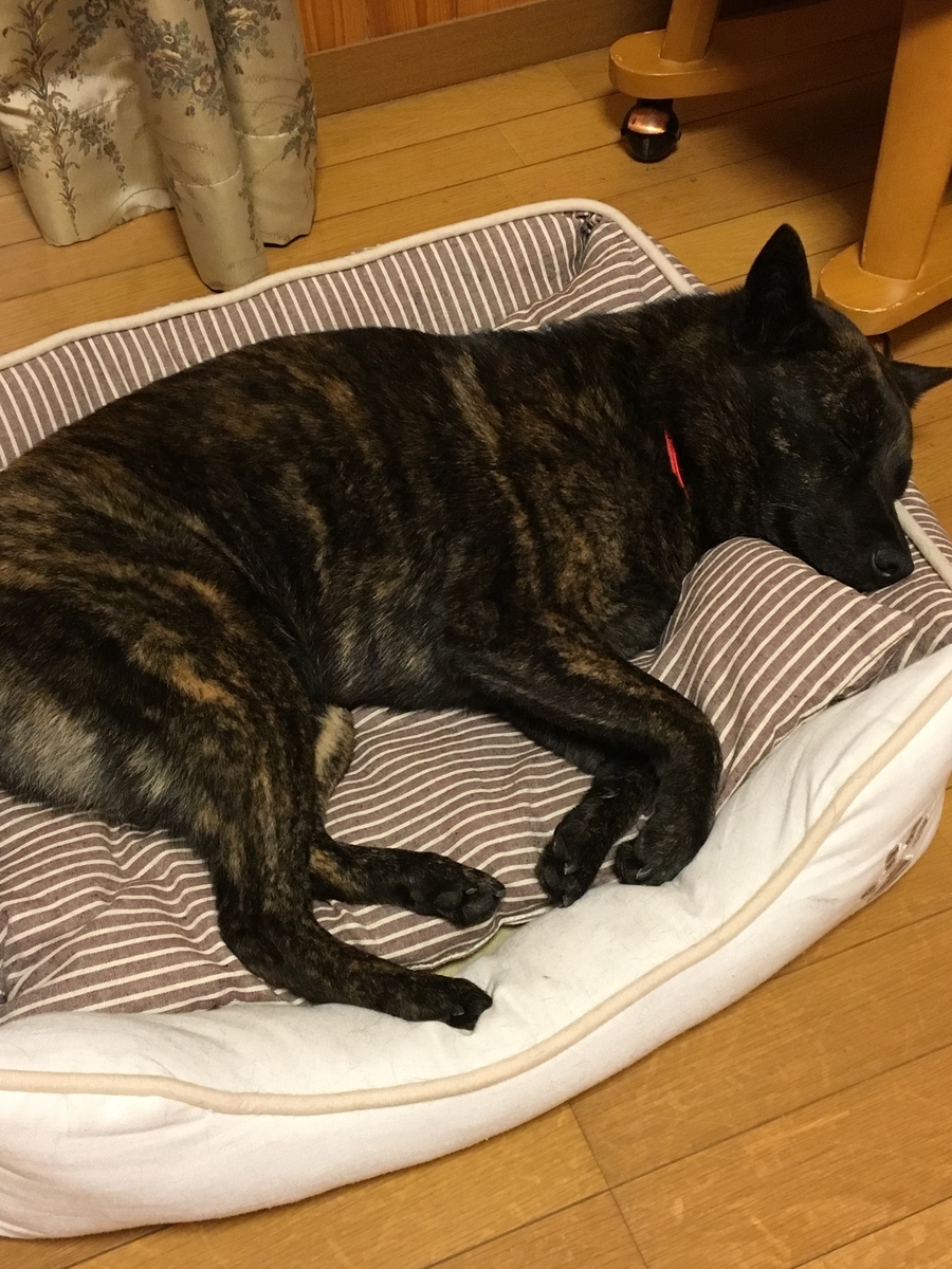 f:id:drunkard_kim:20190527223550j:plain