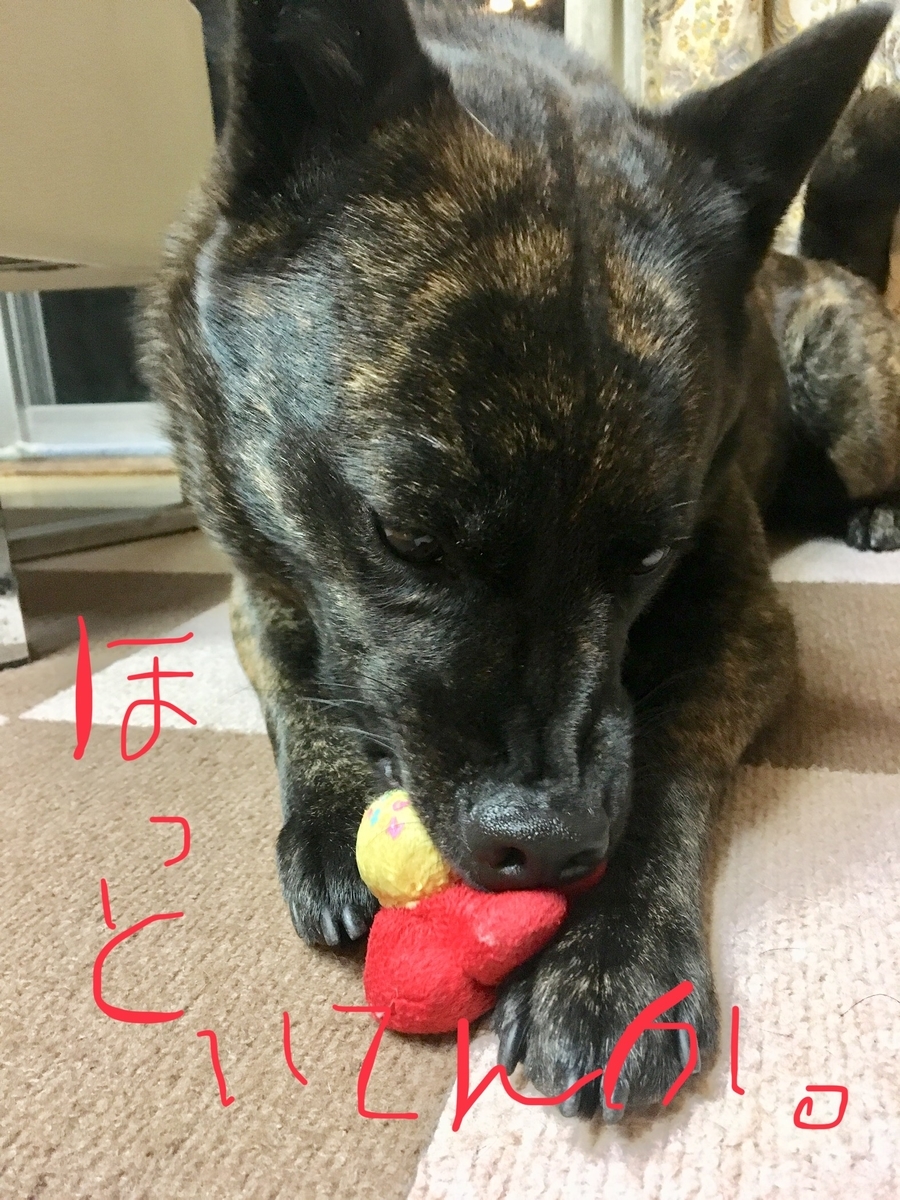 f:id:drunkard_kim:20190530081038j:plain