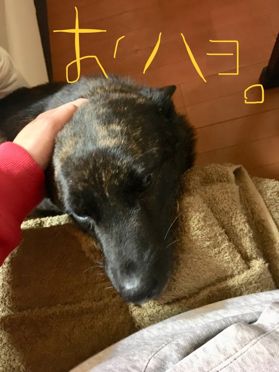 f:id:drunkard_kim:20190601123420j:plain