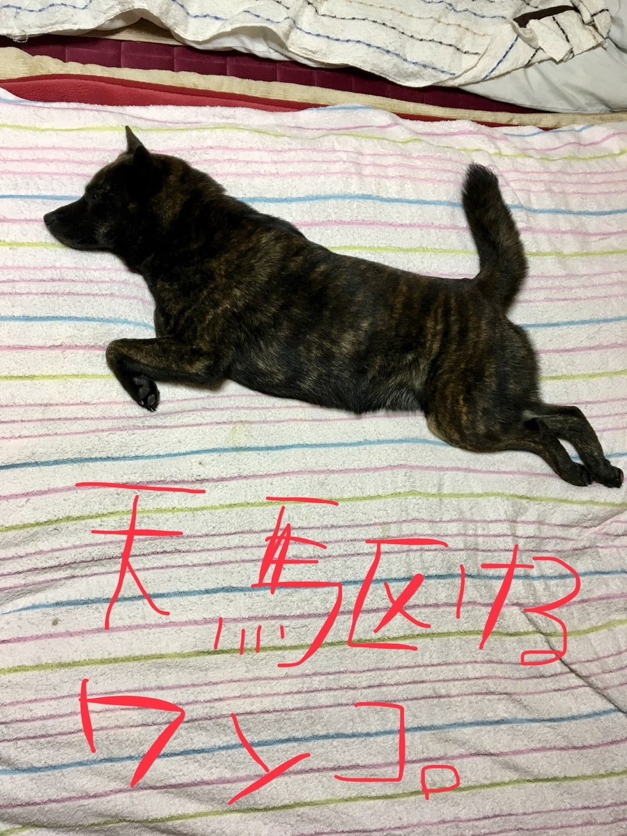f:id:drunkard_kim:20190602075121j:plain