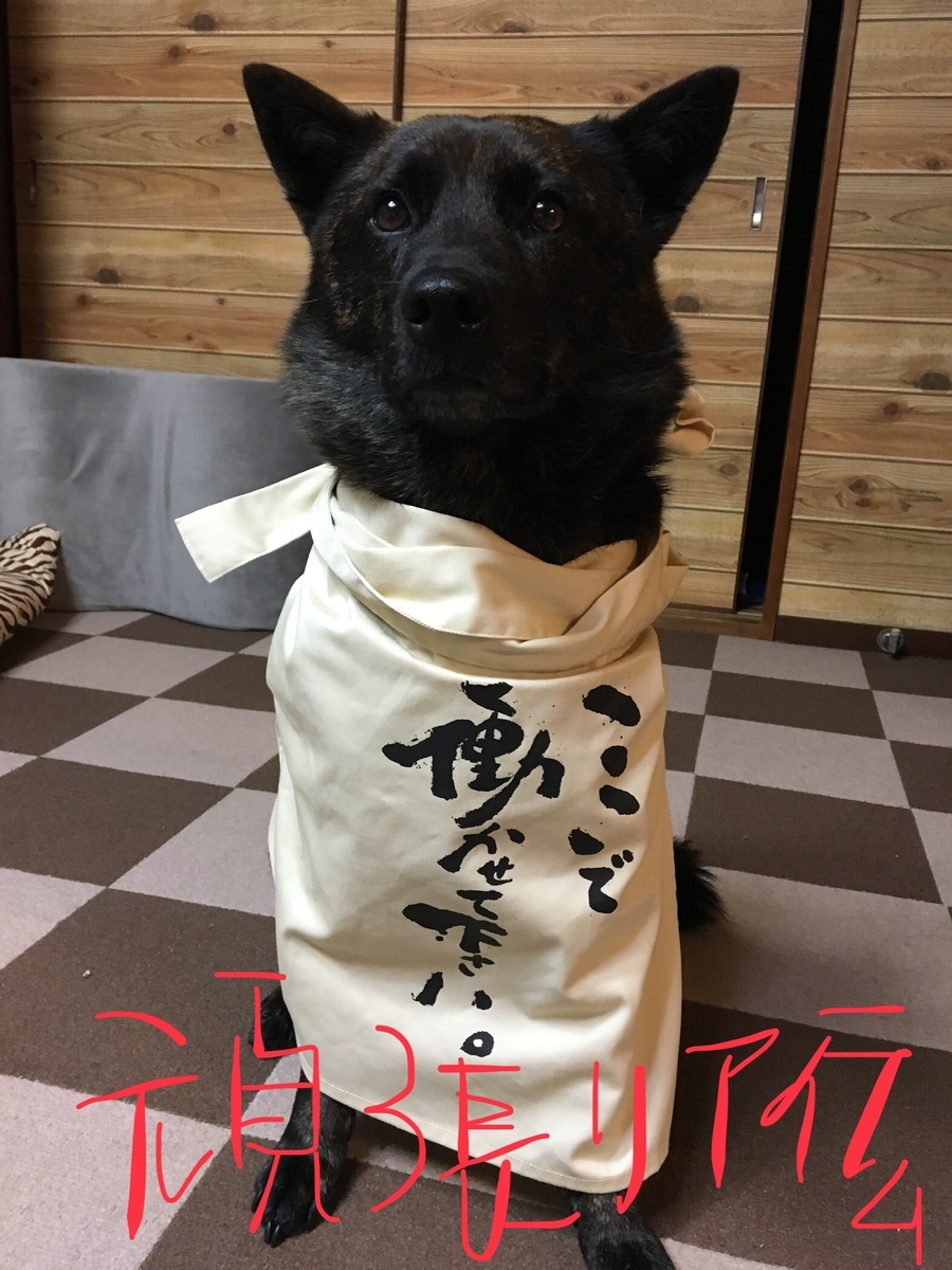 f:id:drunkard_kim:20190603075641j:plain