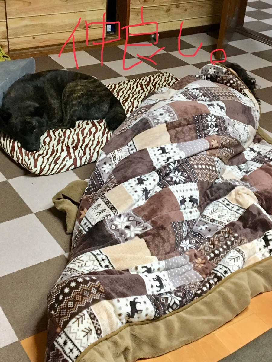 f:id:drunkard_kim:20190608082205j:plain