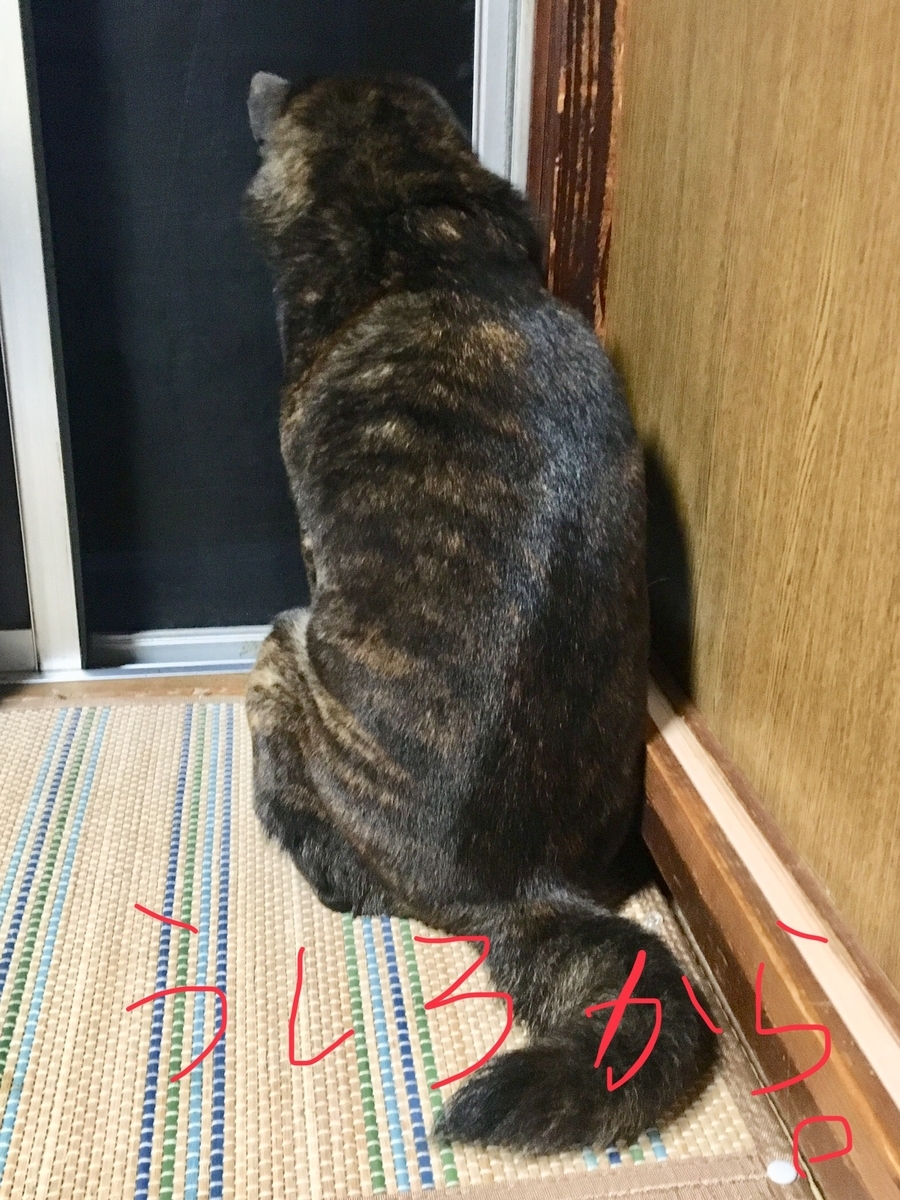 f:id:drunkard_kim:20190609091148j:plain