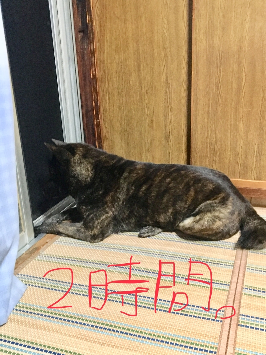 f:id:drunkard_kim:20190609091240j:plain