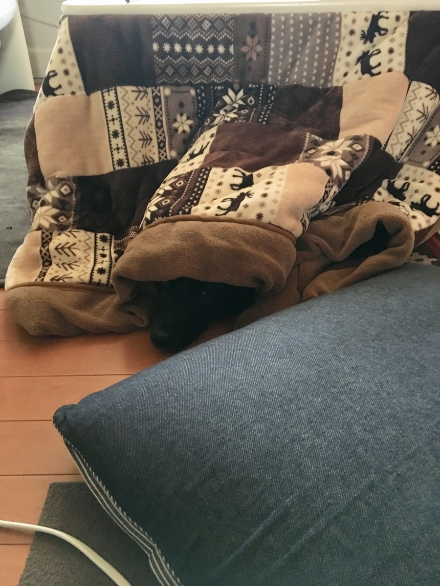 f:id:drunkard_kim:20190610075631j:plain