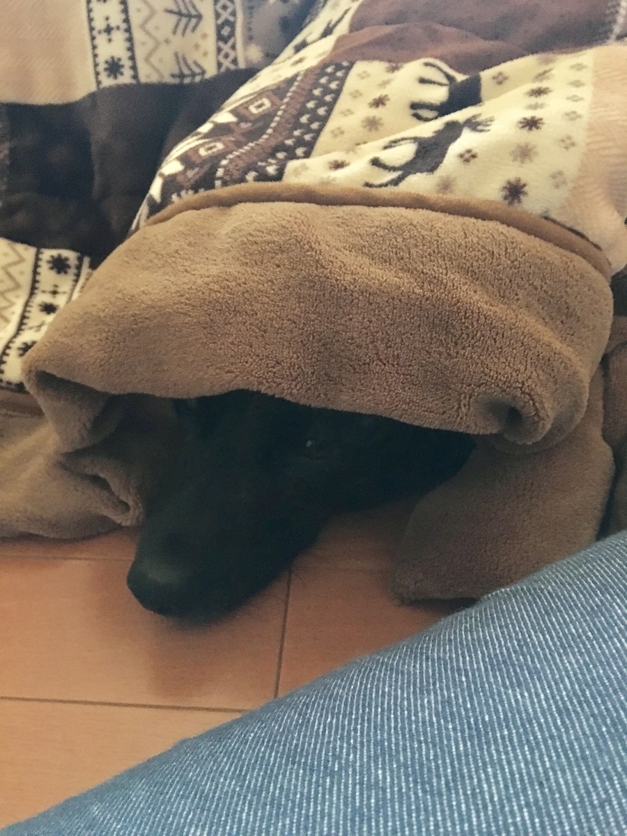 f:id:drunkard_kim:20190610075736j:plain
