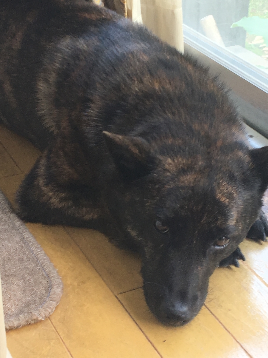 f:id:drunkard_kim:20190613080348j:plain