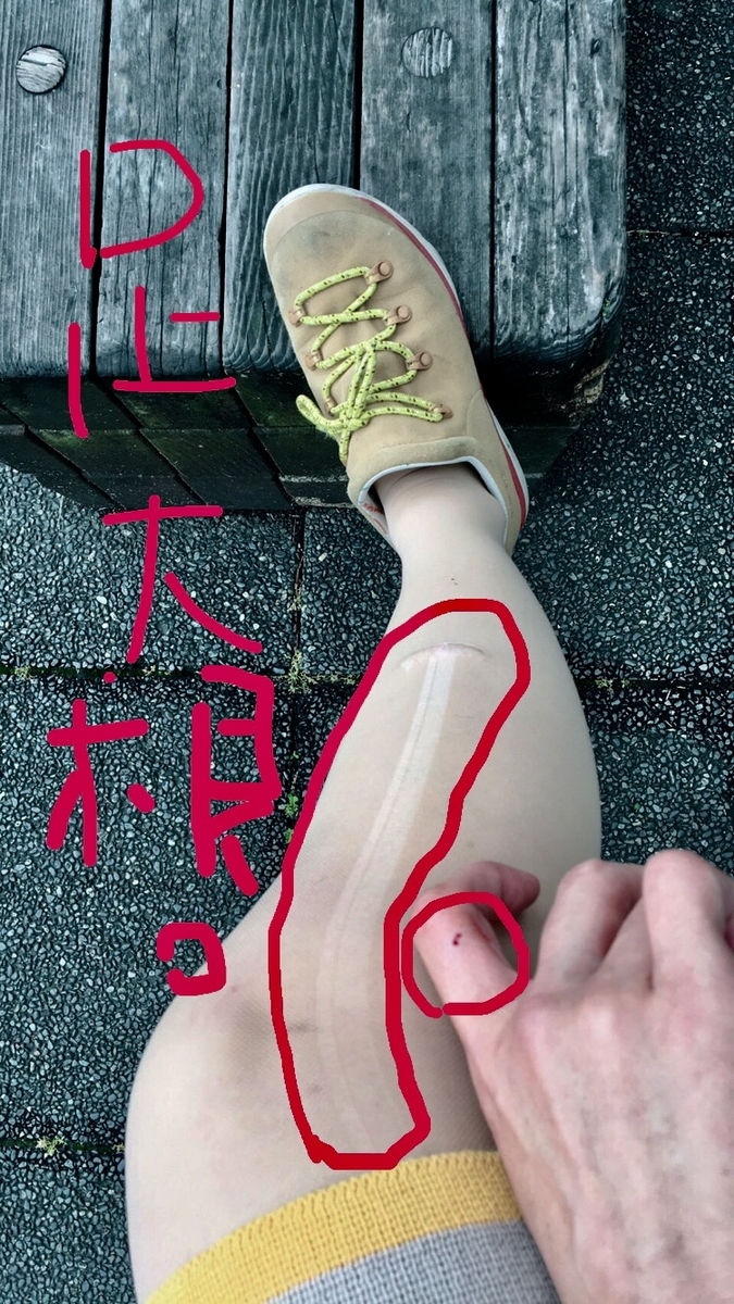 f:id:drunkard_kim:20190615081551j:plain