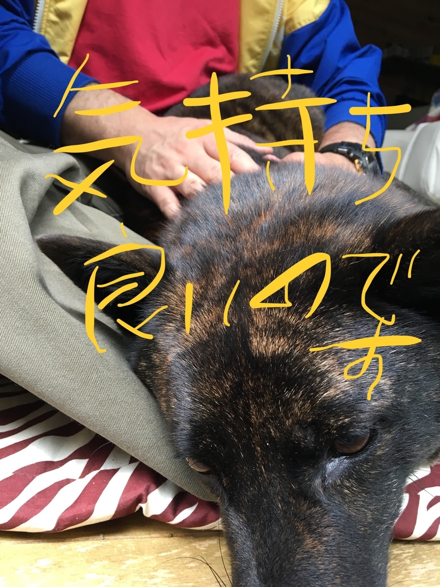f:id:drunkard_kim:20190616143830j:plain