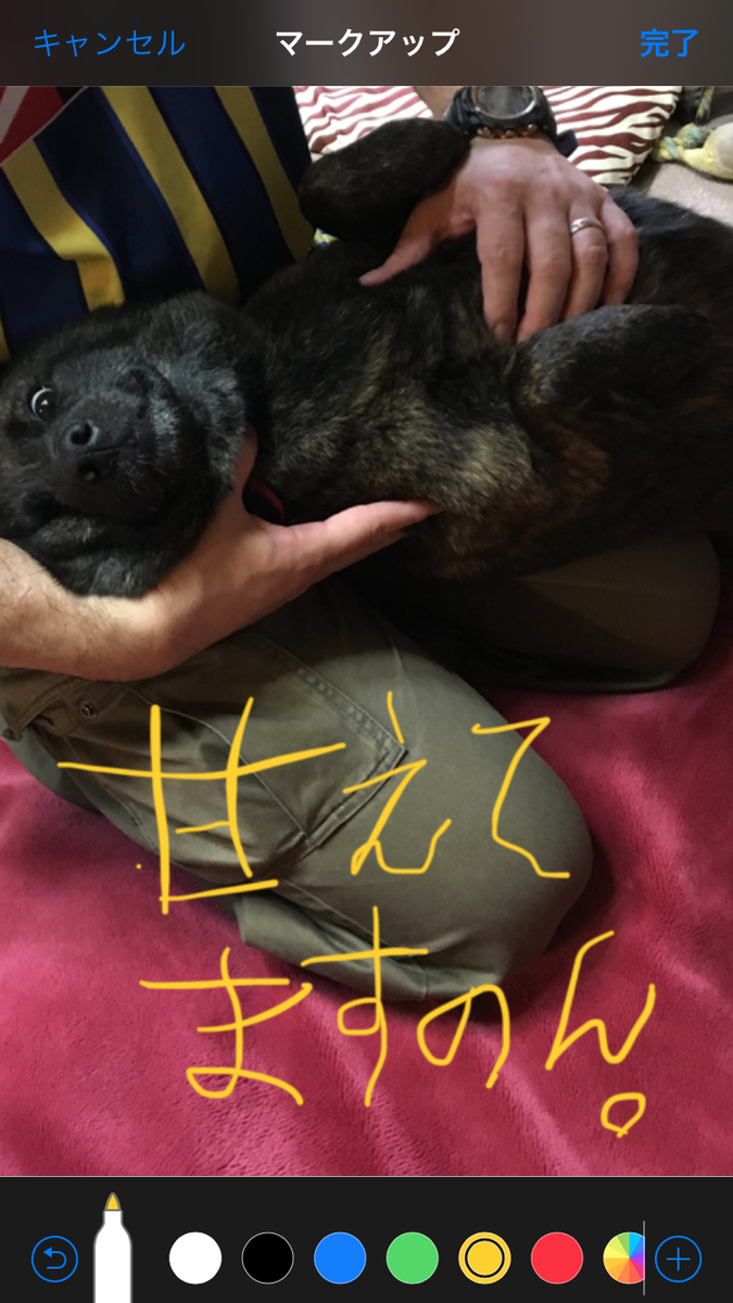 f:id:drunkard_kim:20190617105912p:plain