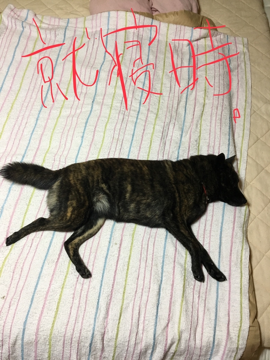 f:id:drunkard_kim:20190619081631j:plain