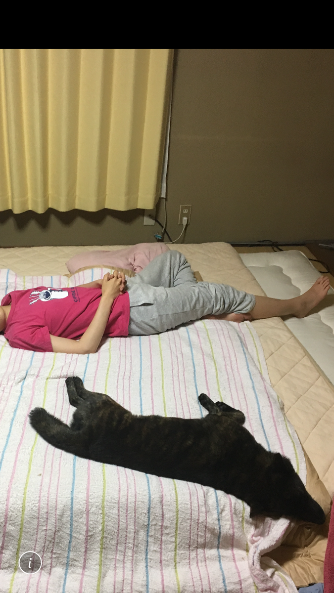 f:id:drunkard_kim:20190619081839p:plain