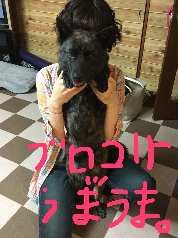 f:id:drunkard_kim:20190620074857j:plain