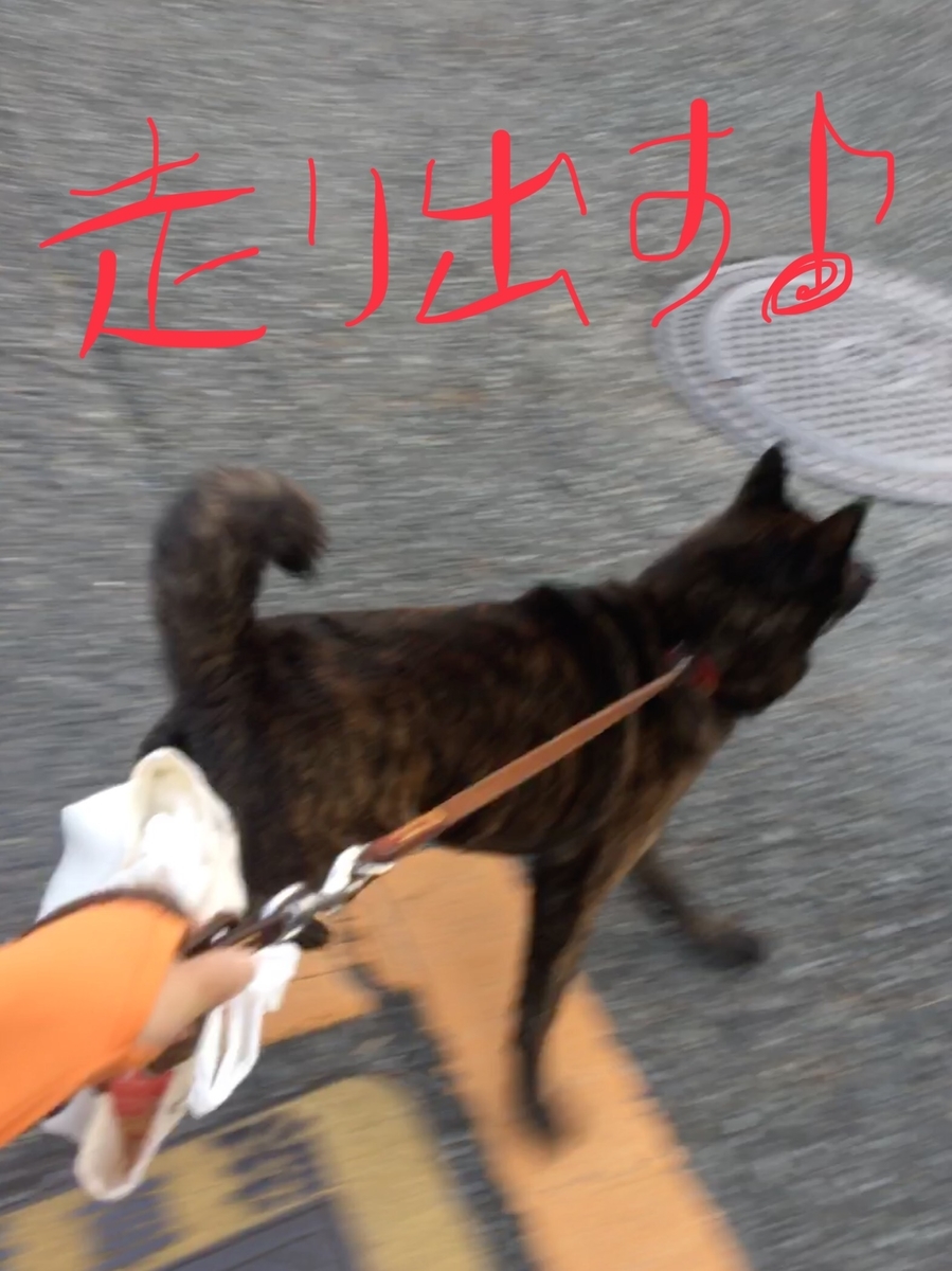 f:id:drunkard_kim:20190621080554j:plain